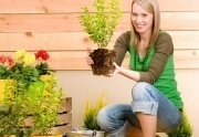 Get Gardening it is the Best Spring Workout Routine