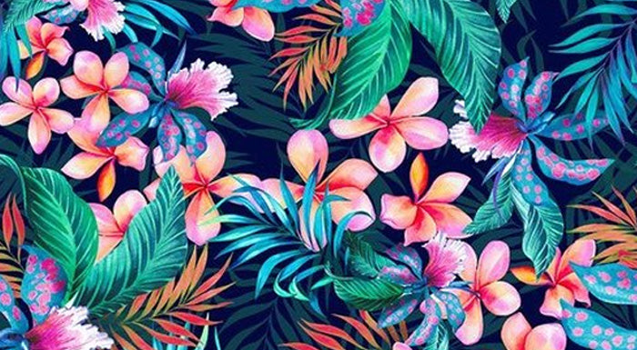 This Shrink with Prints