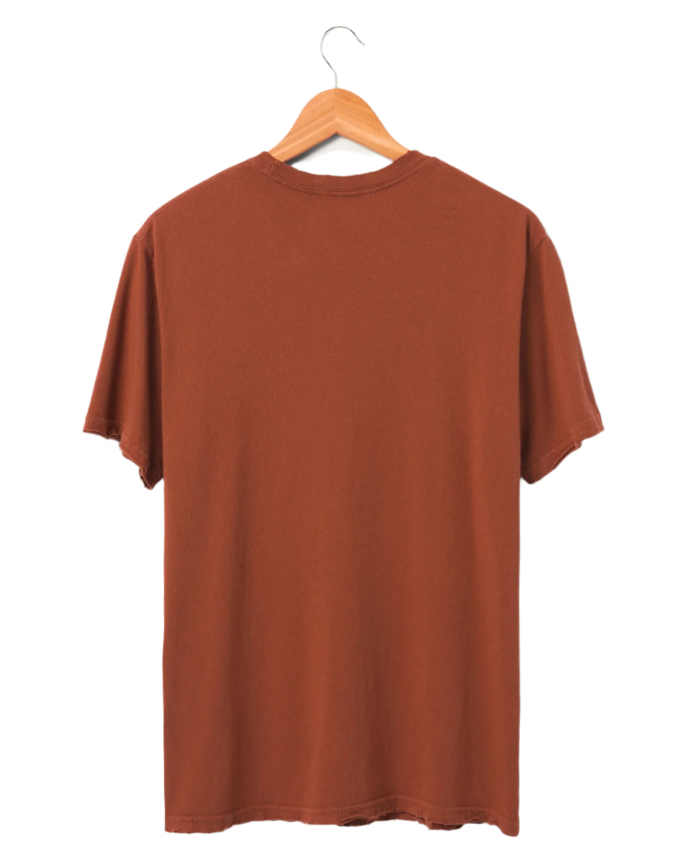 Bowie Station to Station Tee Shirt by Junk Food - Rust - Back View