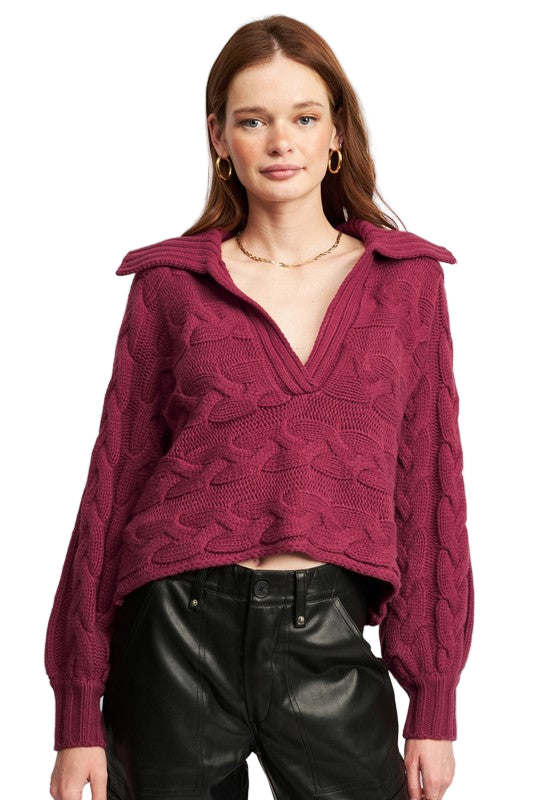 EMORY PARK LONG SLEEVE COLLARED SWEATER - Berry - Front View