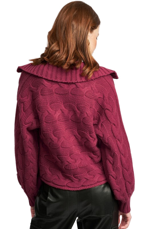 EMORY PARK LONG SLEEVE COLLARED SWEATER - Berry - Back View