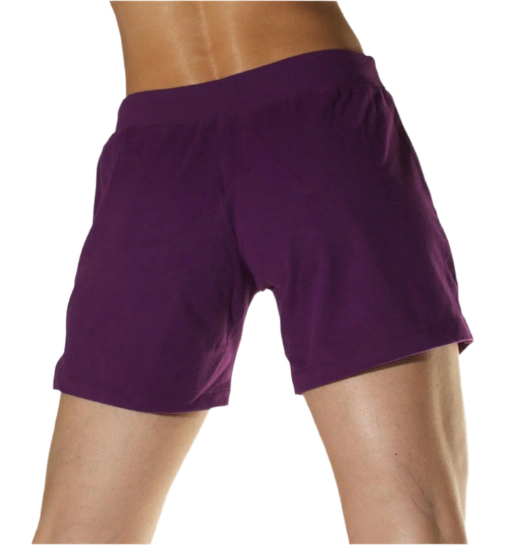 One Step Ahead Brushed Supplex Drawstring Loose Shorts - Wine - Back View