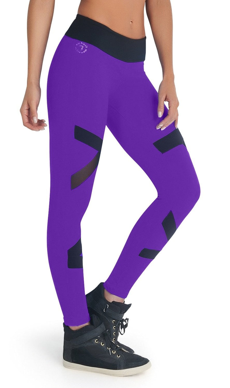 Buy Purple Leggings for Women by VELOZ Online | Ajio.com