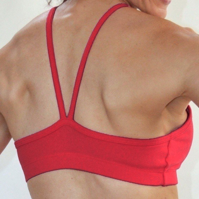 One Step Ahead V front Cami Bra 225 - Poinsettia  - rear view